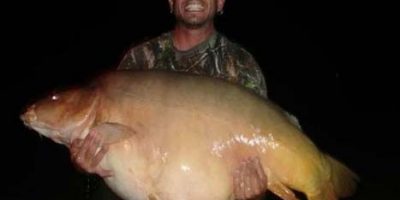 carp world record from Hungary 101lb.jpg